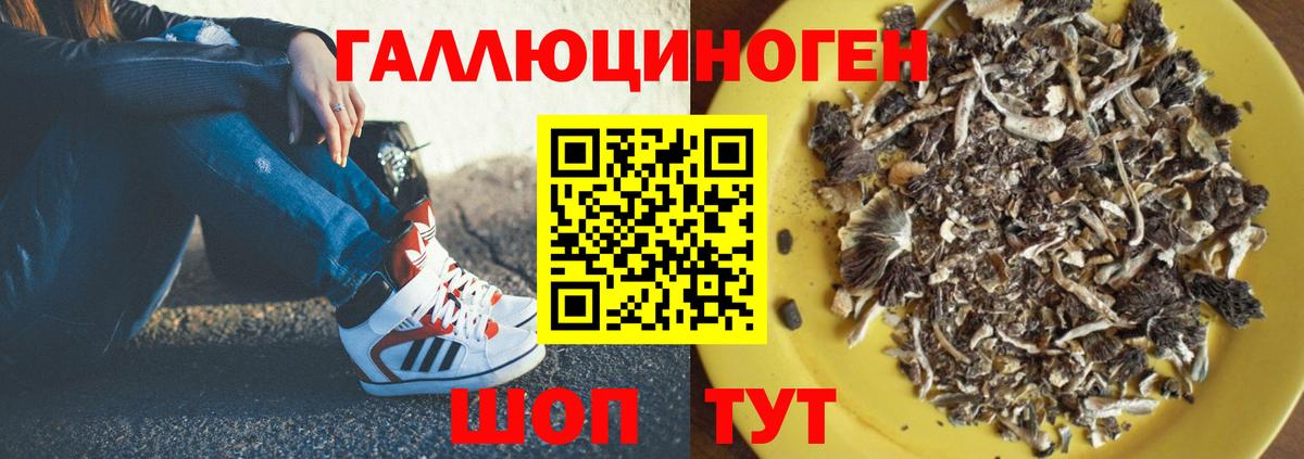 сколько стоит  Псилоцибиновые грибы MAGIC MUSHROOMS  Вход с VPN  Мирный 